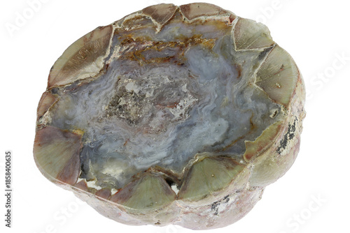 cut in half thunderegg from Buchanan, Oregon, USA isolated on white background