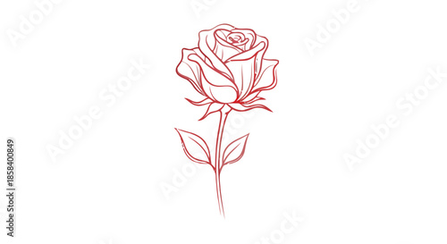 Hand-drawn red rose with leaves on black background