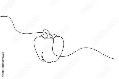 Minimalist continuous one line drawing of a bell pepper capsicum vegetable vector illustration