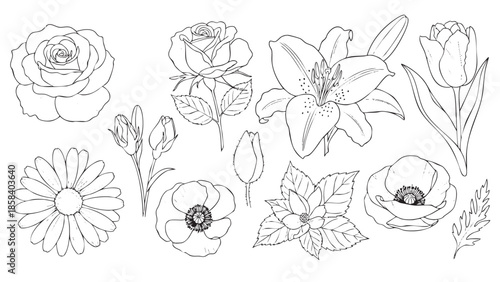 Collection of beautifully detailed floral illustrations for coloring pages