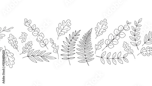 Elegant line drawing of assorted leaves and ferns on transparent background