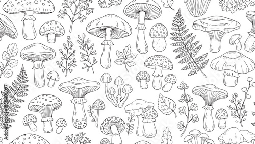 Illustration of Mushrooms and Botanical Elements with HandDrawn Style for Nature Enthusiasts