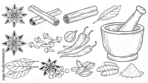 Illustration of spices herbs and botanicals for cooking and seasoning