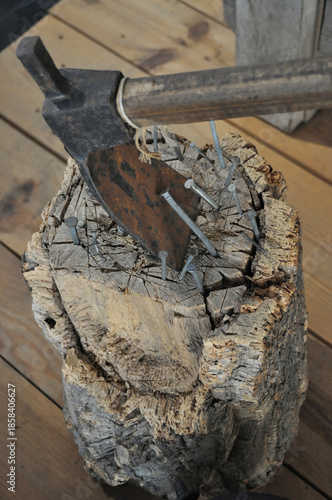 An old hoe and several nails stuck in a cork tree trunk