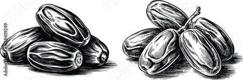 Hand-Drawn Dates Fruit Illustration, Vintage Botanical Food Sketch.