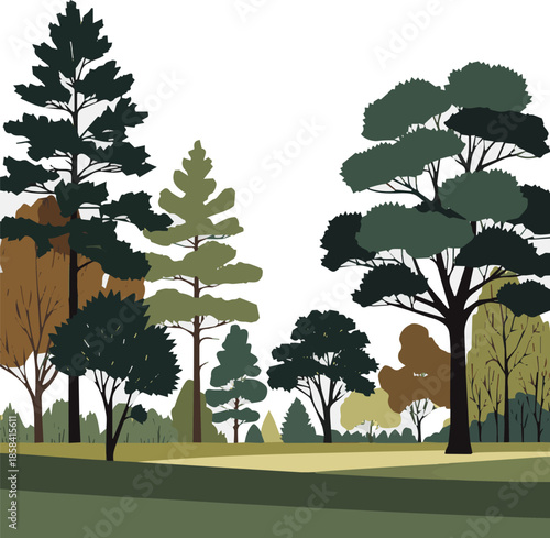 Create a kinds of deferent Group of trees in foreground vector art with white background.