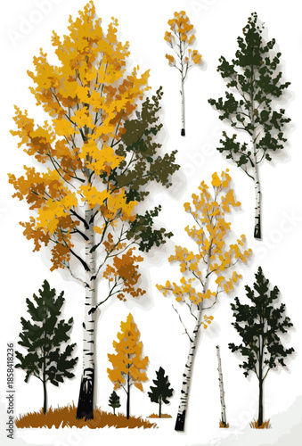 Create a kinds of deferent realistic Group of aspen trees from the genus populous vector art with white background.