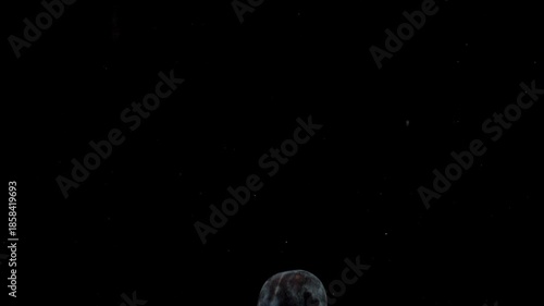Slow motion one blue plum falling into transparent water on black background. Beautiful fresh fruit splashing in aquarium. Organic fruits, healthy food, diet