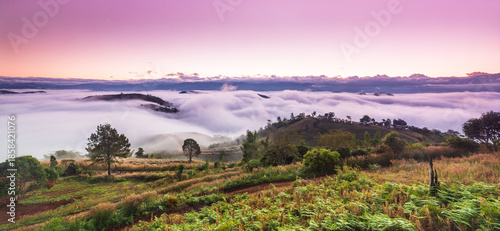 Landscape sea of mist  in the  morning on high mountain Chiang Mai  province Thailand.