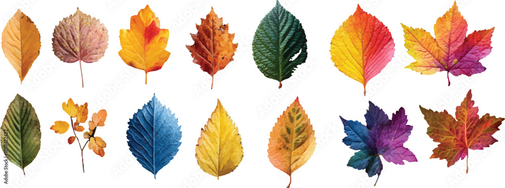Obraz premium set of colorful autumn leaves