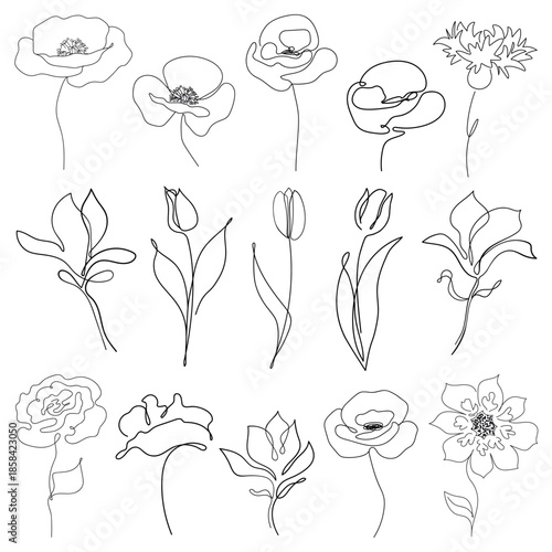 A collection of single ine flowers. A set of minimalist, isolated poppies, tulips, roses, and other flowers. Black and white doodles.