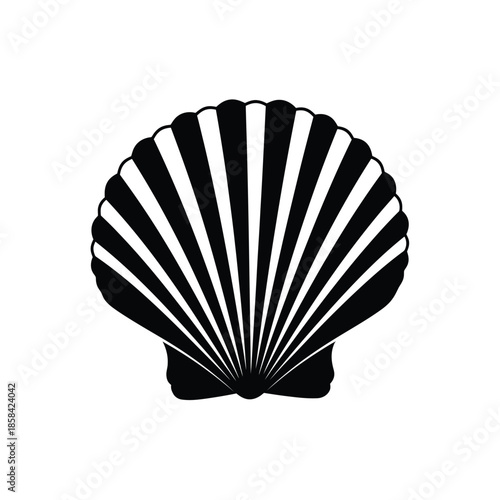 a striking black and white illustration depicts a single scallop shell with radiating lines showcasing its natural form and texture