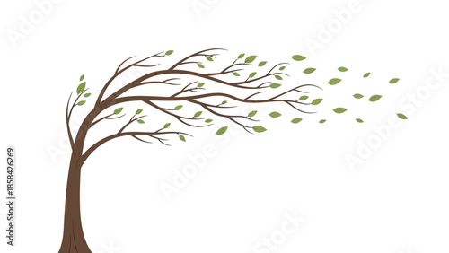 Tree Bending Under Strong Wind With Leaves Blowing Away.