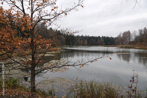 Vorya River in the museum-reserve 