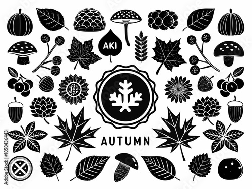A black and white collection of autumn themed plants leaves and decorative elements