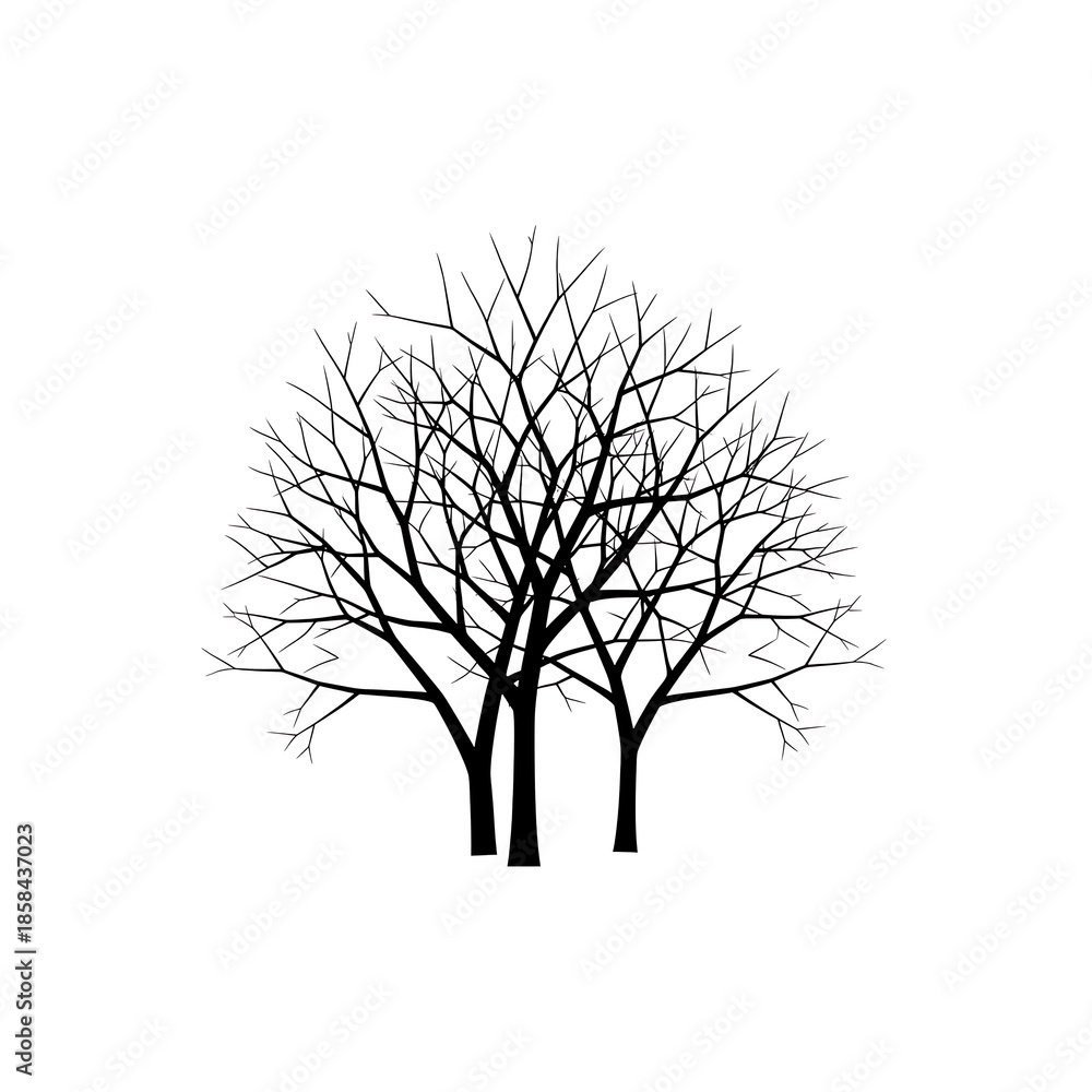Obraz premium Bare Winter Tree Silhouette Against Plain Light Background branches