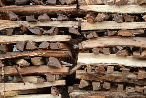 stack of firewood. trees cut down and stacked as firewood, dried logs prepared for burning, showing traditional use of natural resources in rural daily life.