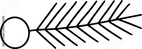 Christmas pine line illustration vector