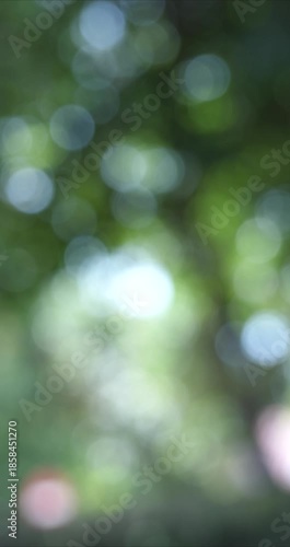 Vertical video Blurred Background. Vertical video bokeh background