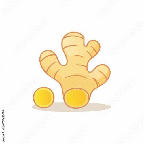 Ginger root illustration showcasing freshness and natural herbal remedy use