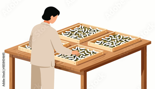 Person tending silkworms in wooden trays on a table