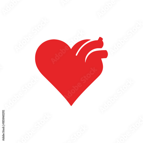 A vibrant flat illustration of a red heart with visible anatomical details including arteries conveys a sense of life and health