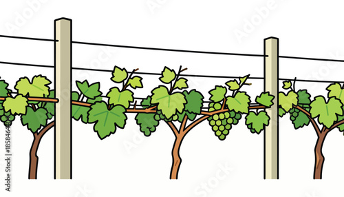 A stylized vineyard with green grape vines supported by wooden posts and wires