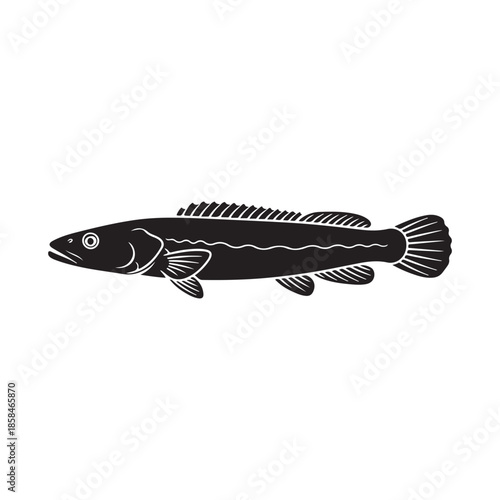 Black and white silhouette of burbot fish freshwater predatory gadiform species from north america and eurasia isolated on white background flat vector illustration for seafood and nature design