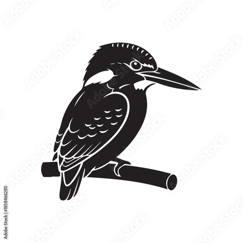 Kingfisher black silhouette icon isolated on white background, stylized bird with sharp beak perching on branch, simple dark vector illustration of wildlife