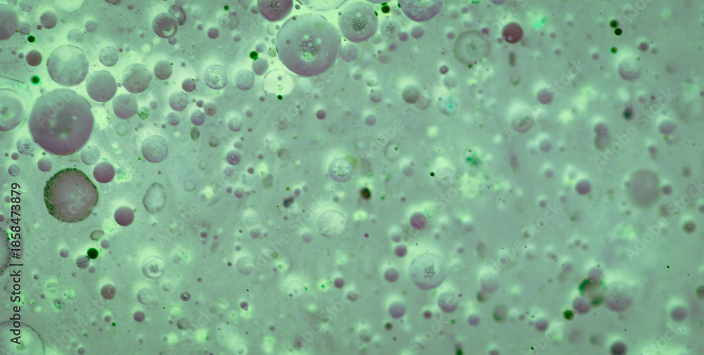 custom made wallpaper toronto digitalUnveiling the Intricate Allure of Liquid Art in Oil Paintings