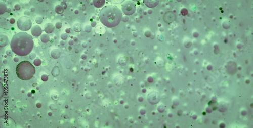 Wallpaper Mural Unveiling the Intricate Allure of Liquid Art in Oil Paintings Torontodigital.ca