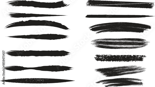 Set of Tapered Black Ink Brush Strokes and Fine Textured Swashes: Hand Drawn Artistic Grunge Lines, Dry Brush Smears, and Design Elements Vector