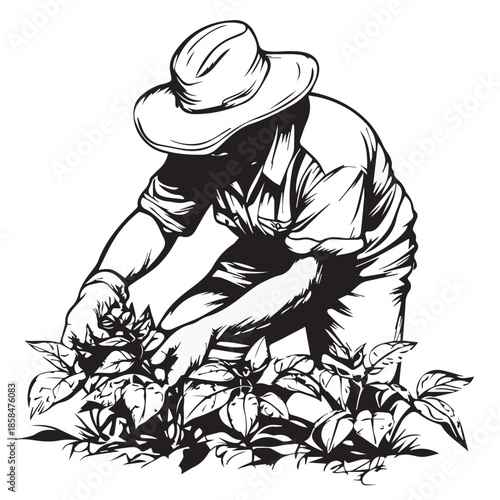farmer in field