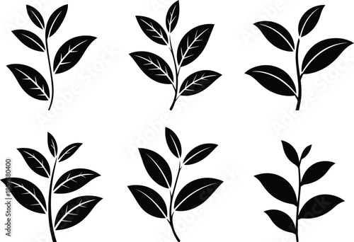 Set of Minimalist black tea plant with fresh leaves silhouette vector icon