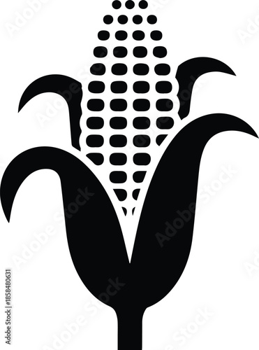 Minimalist black corn stalk with corn cobs silhouette vector icon