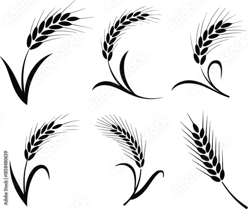 Set of Minimalist black wheat stalk and sheaf silhouette vector icon