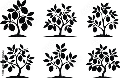 Set of Minimalist black lemon tree with citrus fruits silhouette vector icon