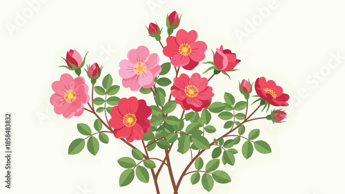 Pink Rose Flowers on Branches with Leaves.