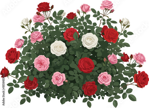 Colorful Roses in Full Bloom Arrangement.