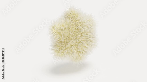 Hair fur star shape on white bg able to loop endless 4k