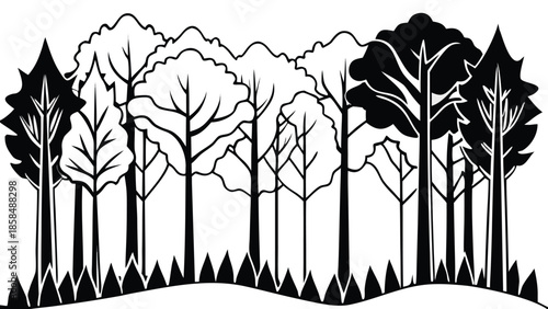 A Beautiful Grove of Diverse Trees Standing Together in the Forest