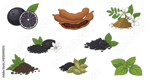 Variety of aromatic spices and herbs including tamarind and cardamom seeds shown as high quality ingredients.