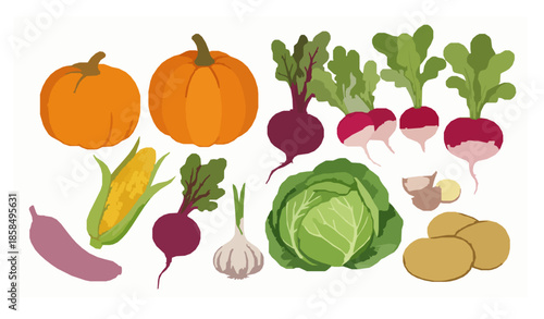 Rustic Watercolor Vegetable Set Hand Painted Farm Fresh Food Vector