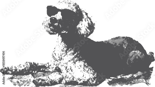 Black and white dog illustration of a poodle in a simple and stylish design. This vector art portrays a cute representation of a canine set in a classic style.