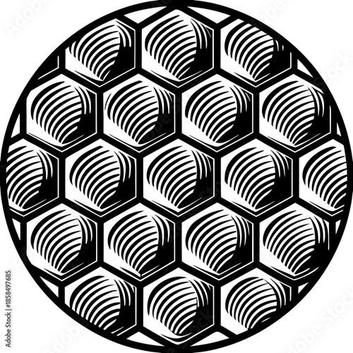 Honeycomb Circle Pattern – Vector Art for Nature, Geometry & Business Design

