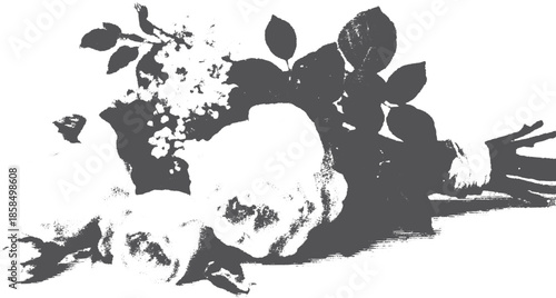 Roses bouquet with natural leaves and stems. Elegant floral arrangement vector illustration on a monochrome background.