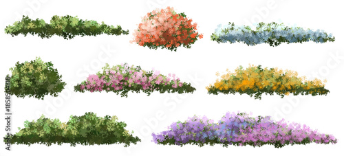 Vector of tree or blooming  side view isolated on white background ,watercolor tree elevation for landscape concept,environment scene,eco design,blossom garden for spring
