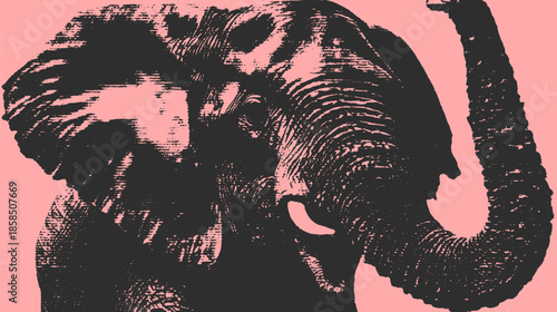 Elephant illustration in black with detailed texture on a pink background. This vector art features a minimalist design, totaling 140 characters.