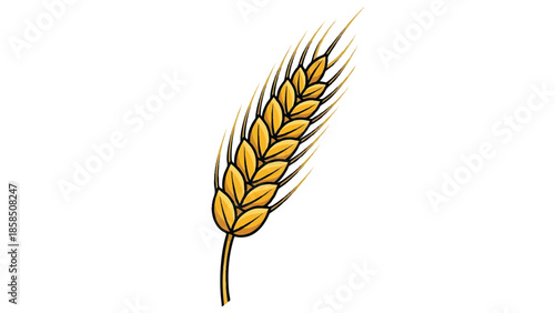 Golden wheat ear illustration on a white background from a close-up viewpoint