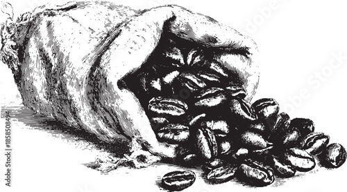Coffee beans spilling from a vintage bag. Monochrome vector illustration showcasing a classic design in a simple set.